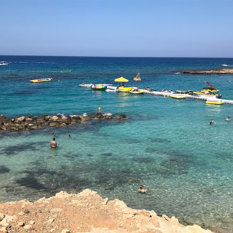 Fig tree bay