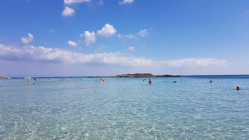 Fig tree bay