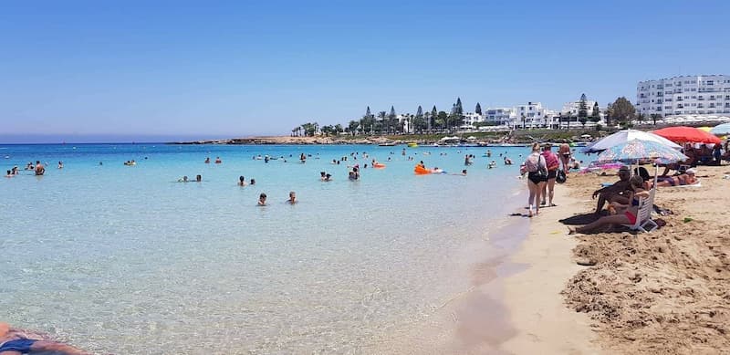 Fig tree bay