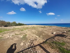 Paralimni nissia archaeological site